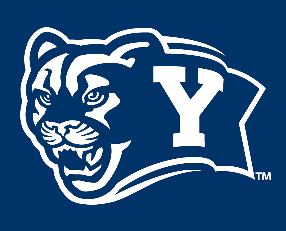 Brigham Young Cougars 2005-Pres Alternate Logo v7 diy DTF decal sticker